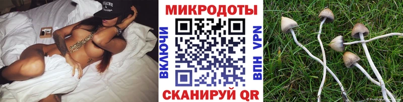 Купить  Красноуральск  Галлюциногенные грибы Psilocybine cubensis 